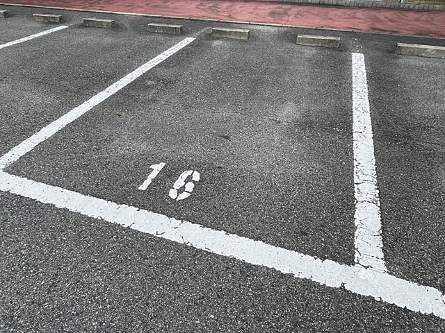 5 / 11