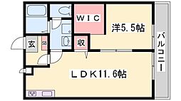 サンライズM 1LDKの間取図画像