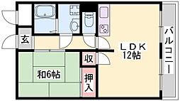 アイビーコート 1階/1-C