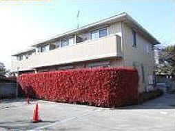 西武新宿線 下井草駅 徒歩7分の賃貸アパート