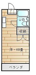 🉐敷金礼金0円！🉐カーサジュ―ロ