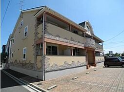 ensoleill`e branchette