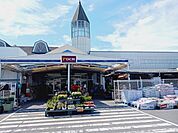 ＤＣＭ伊予店 500m