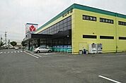 ヤマダデンキ松山本店 800m