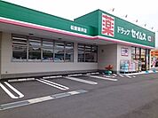 セイムス筒井店 600m