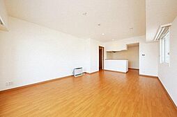 南円山シャトー桂和 3LDKの写真