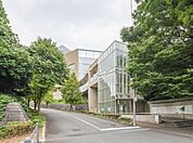 病院 1000m 東京北医療センター