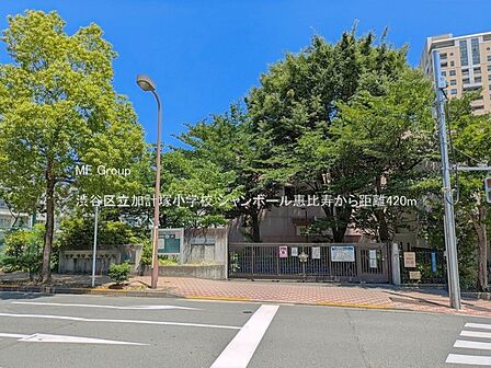 小学校 420m 渋谷区立加計塚小学校