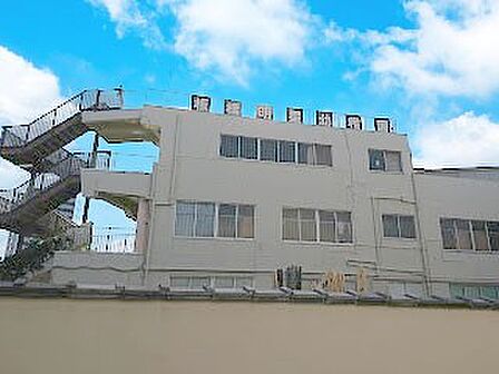 幼稚園・保育園 800m 板橋明星幼稚園