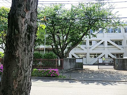 中学校 700m 小金井市立第一中学校