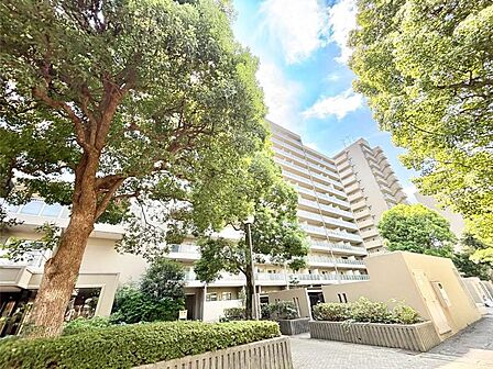 溢れる陽光でご家族の笑顔も輝く