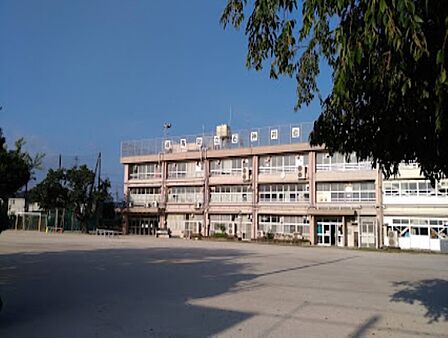 小学校 550m 練馬区立石神井台小学校