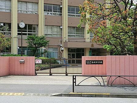 中学校 900m 葛飾区立金町中学校