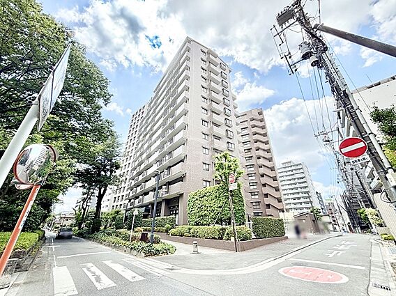 ここから始まる...