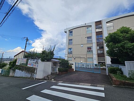 川崎市立枡形中...