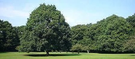 市立東高根森林公園 910m