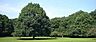 周辺：市立東高根森林公園 910m