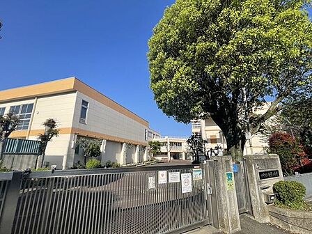南菅小学校 900m