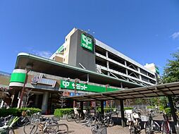 【スーパー】サミットストア 川口エルザタワー店まで229ｍ