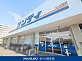 サンディ 平野...