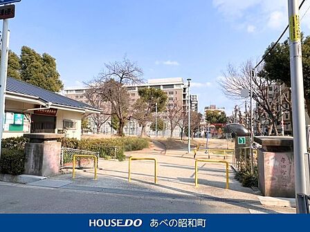 寺田町公園 300m