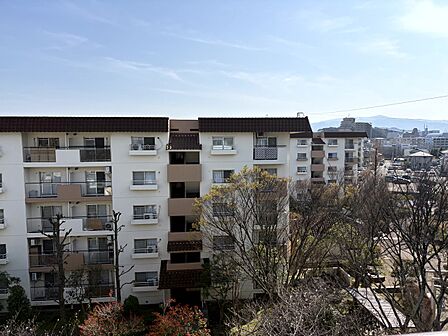 ワンシーンを切り取った写真のような眺望。窓からの景色が良いと家で過ごす時間も快適です。