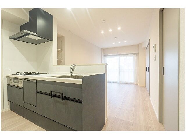 リビング/ダイニング ライオンズマンション浅草三社 4階/-