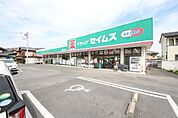 ドラッグセイムス足利中央店(313m)