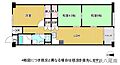 グランドハイツ八尾2階920万円