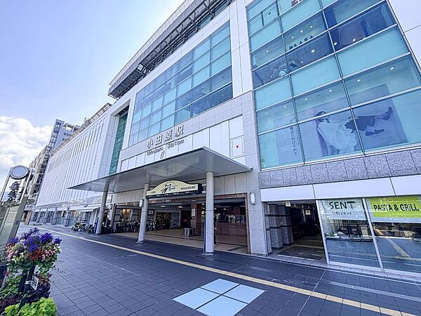 周辺を拡大表示