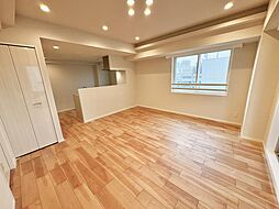 JR中央線 大久保駅 徒歩3分 2LDKのリビング/ダイニング