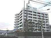 宇和島市役所まで1、091ｍ