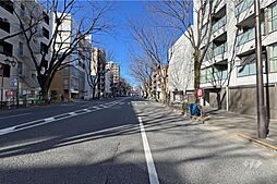 敷地南側の前面道路
