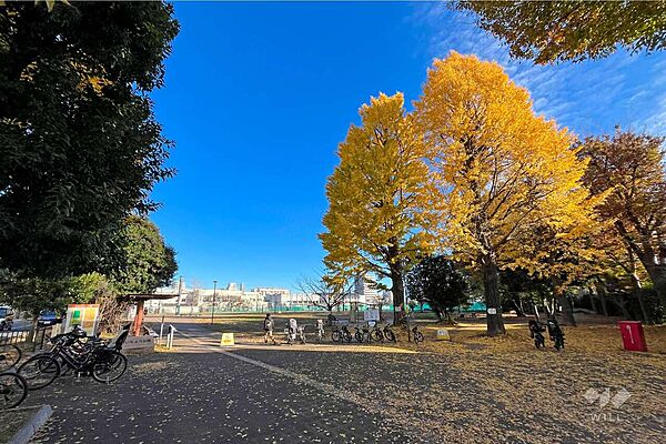 周辺を拡大表示