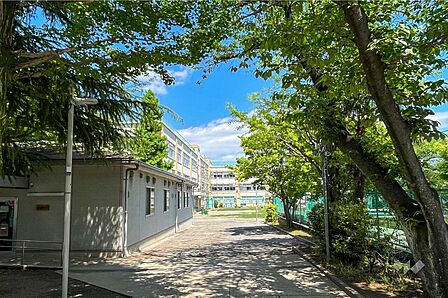 杉並第七小学校[公立]の外観