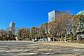 新宿中央公園の...