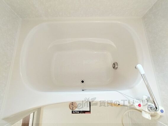 セントポーリアB_その他_1