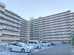 近鉄天理線 前栽駅 徒歩11分の賃貸マンション