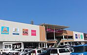 ザグザグ宇多津店(ドラッグストア)まで543m