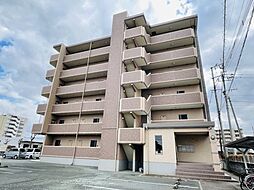 サンサンフラワー菊陽
