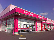 ドラッグストアコスモス 国分バイパス店（436m）