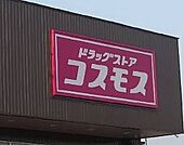 ドラッグストア コスモス 東国分店（729m）