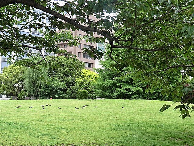 周辺 クレストシティレジデンス 6階/-