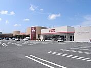 スーパー「かましんゆいの杜店まで1079m」