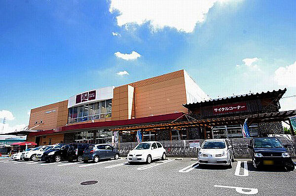 S-FORT宇都宮南大通り