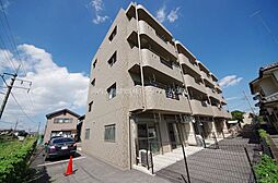 Y＆Mファーストステージ