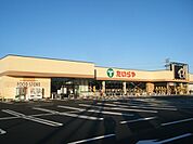 スーパー「たいらや川田店まで1317m」