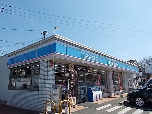 ラシュレ楡木