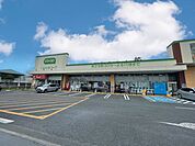 コープひたちなか店（2100m）
