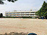 周辺：南部小学校（1100m）
